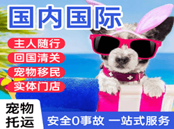 哈尔滨平房机场邮寄国际宠物托运 【国